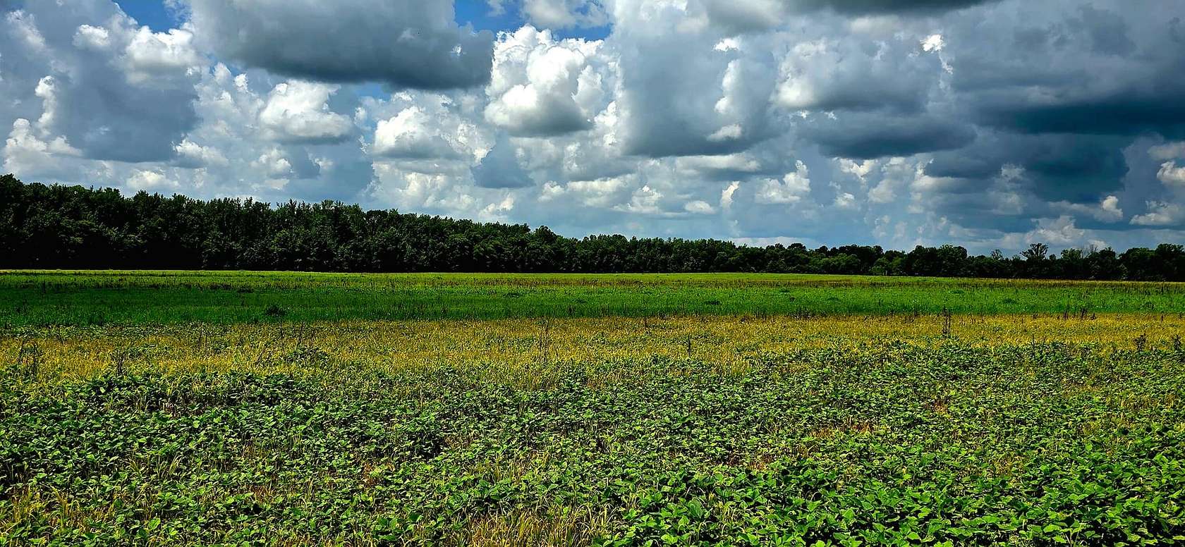 300 Acres of Recreational Land & Farm for Sale in Middleton, Tennessee