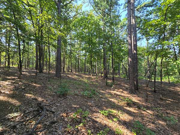 84 Acres of Land for Sale in Muse, Oklahoma