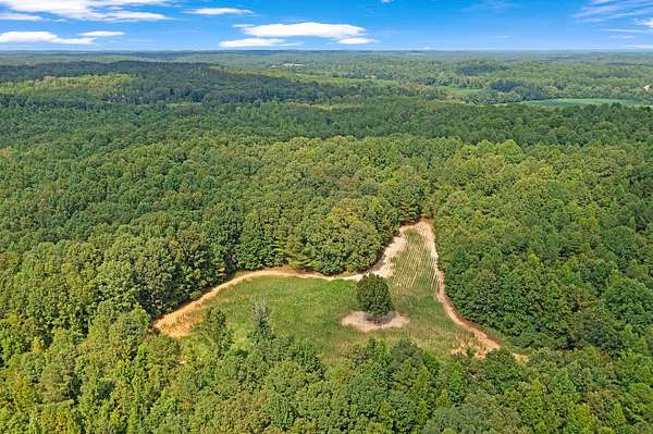 330 Acres of Land for Sale in Hornsby, Tennessee