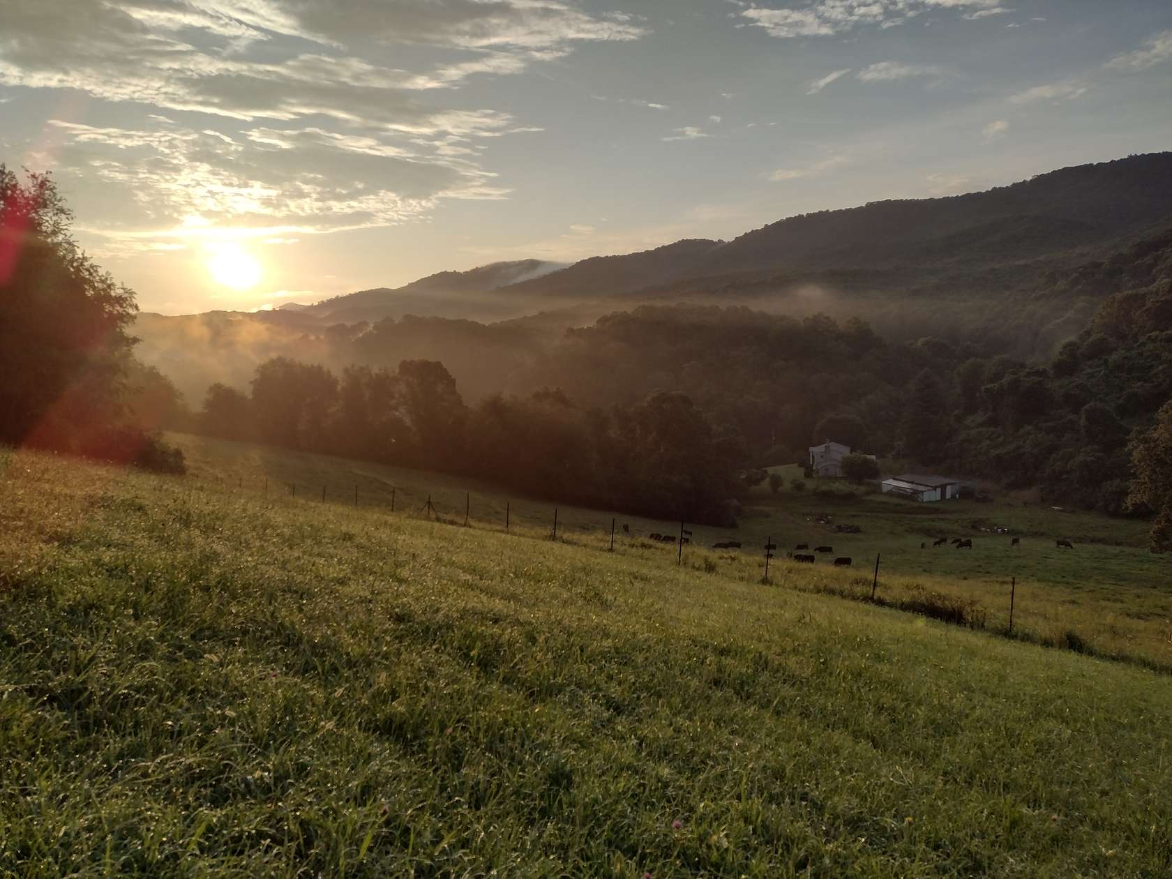 23.3 Acres of Land with Home for Sale in Marion, Virginia