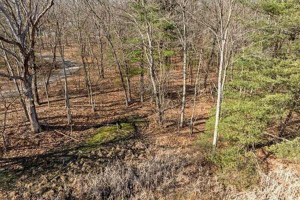 9.3 Acres of Residential Land for Sale in Ada, Michigan