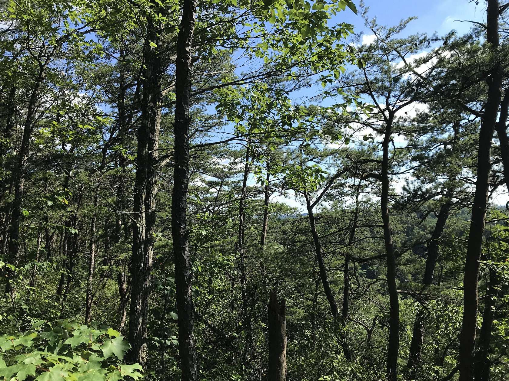 4 Acres of Land for Sale in Stanton, Kentucky