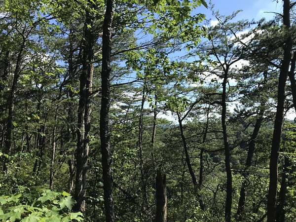 4 Acres of Land for Sale in Stanton, Kentucky