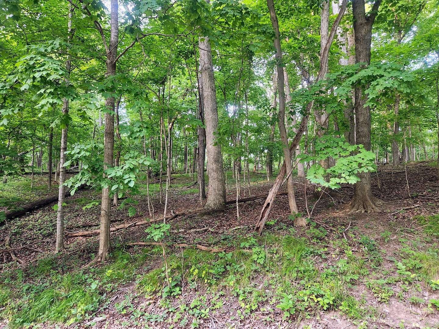 Land for Sale in Varna, Illinois