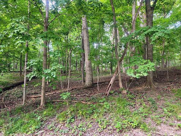 Land for Sale in Varna, Illinois