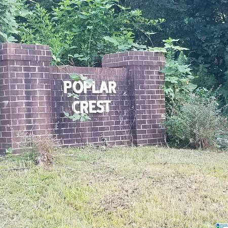0.33 Acres of Residential Land for Sale in Odenville, Alabama