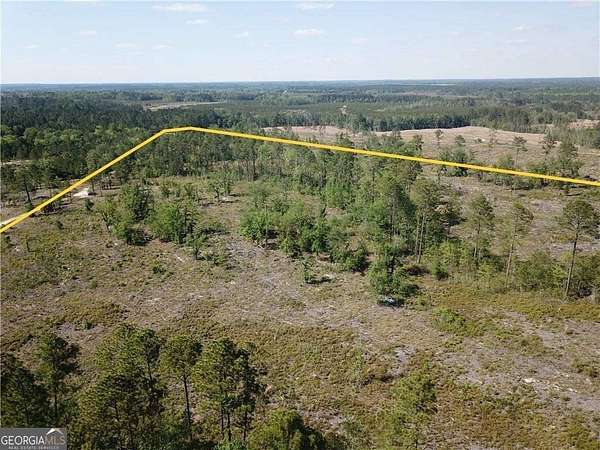38.8 Acres of Land for Sale in Vidalia, Georgia