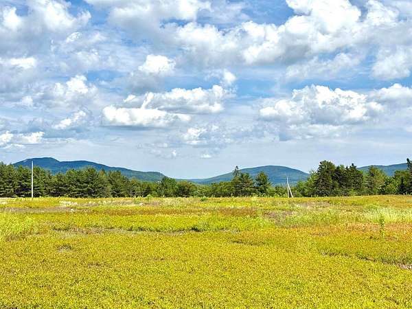 154 Acres of Recreational Land for Sale in Franklin, Maine