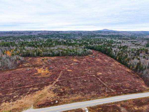 40 Acres of Recreational Land for Sale in Penobscot, Maine