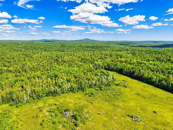 40 Acres of Recreational Land for Sale in Penobscot, Maine