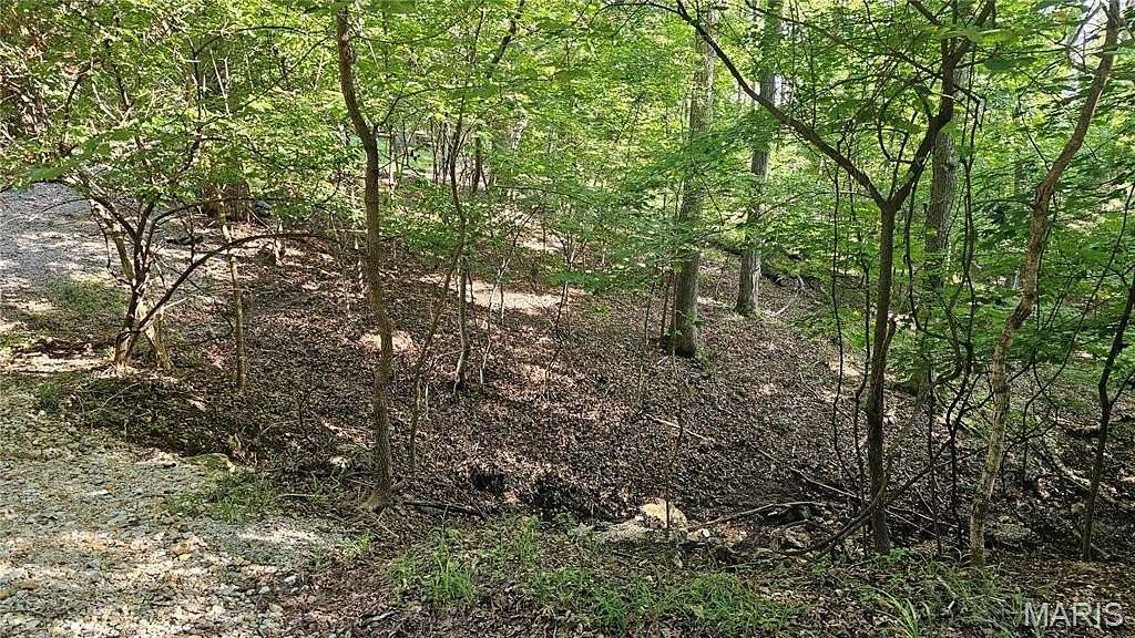 0.22 Acres of Residential Land for Sale in Charrette Township, Missouri