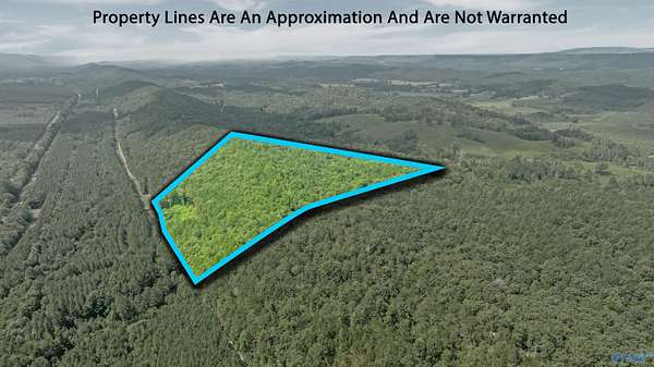30 Acres of Recreational Land for Sale in Valley Head, Alabama
