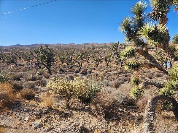6.25 Acres of Residential Land for Sale in Meadview, Arizona