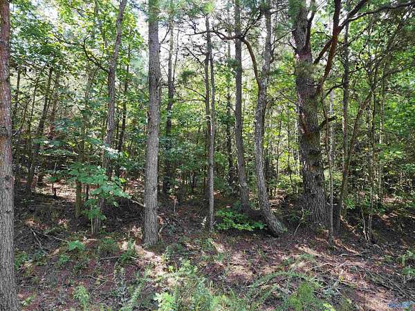 10 Acres of Land for Sale in Valley Head, Alabama