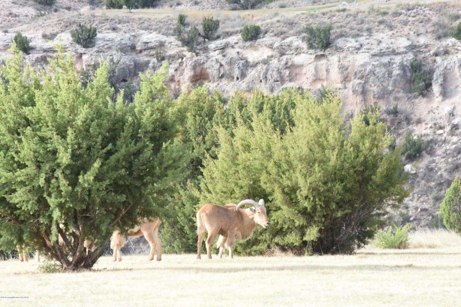 1.5 Acres of Commercial Land for Sale in Amarillo, Texas