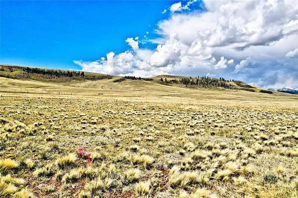 4.8 Acres of Residential Land for Sale in Hartsel, Colorado