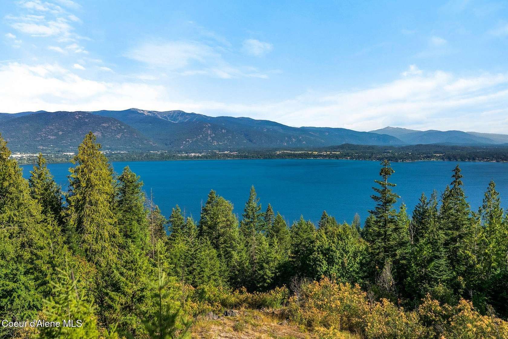 5 Acres of Residential Land for Sale in Sagle, Idaho