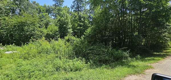 0.25 Acres of Land for Sale in Royal, Arkansas