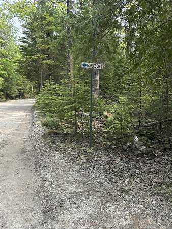 1.1 Acres of Land for Sale in Bois Blanc Township, Michigan