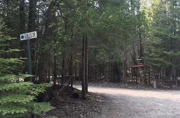 3.8 Acres of Land for Sale in Bois Blanc Township, Michigan