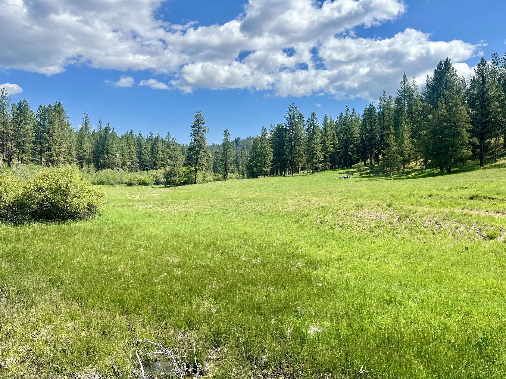 793 Acres of Recreational Land & Farm for Sale in Mount Vernon, Oregon