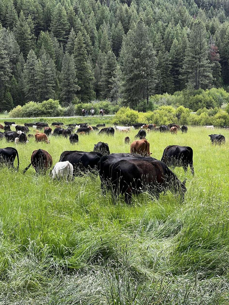 793 Acres of Land for Sale in Mount Vernon, Oregon