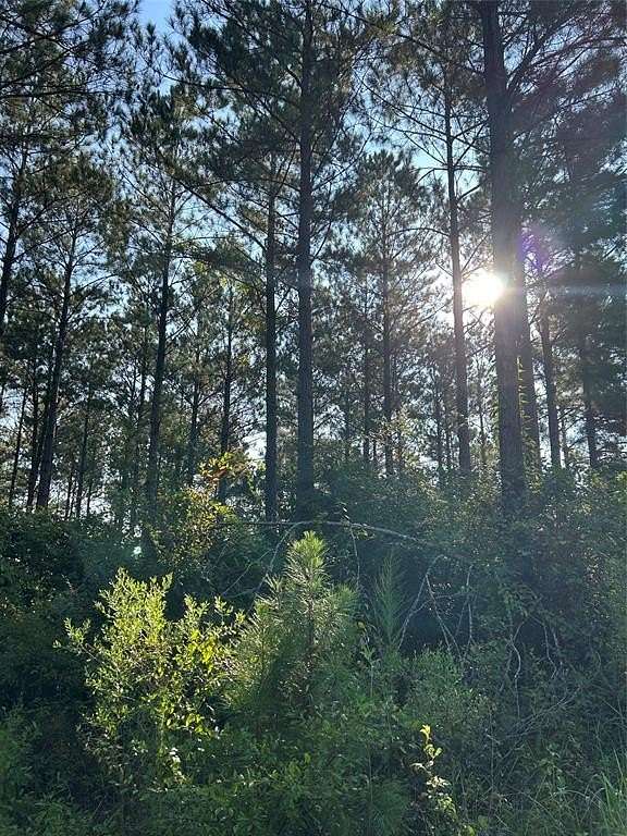 197 Acres of Recreational Land for Sale in Cotton Valley, Louisiana