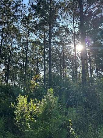 197 Acres of Recreational Land for Sale in Cotton Valley, Louisiana