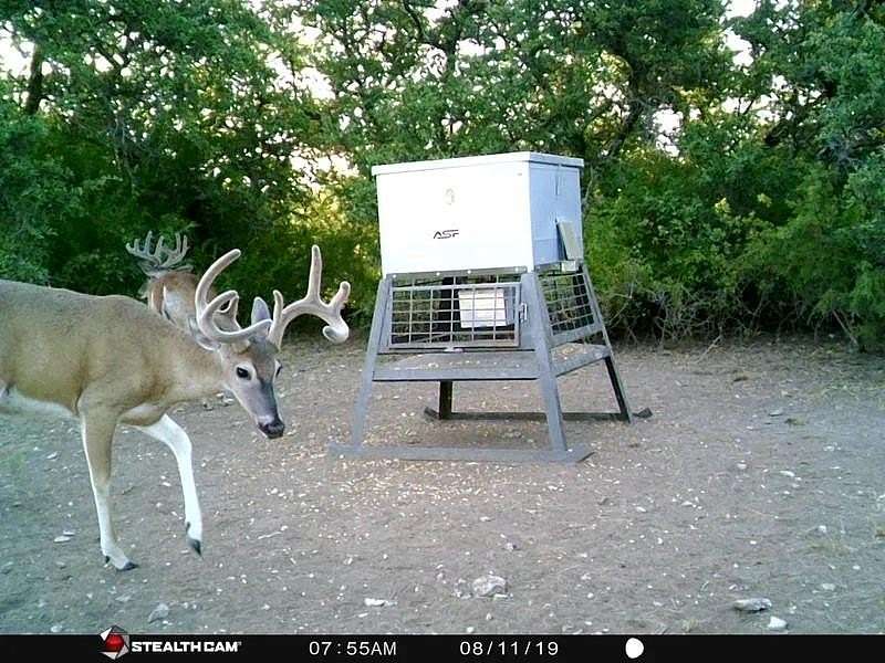 107 Acres of Land with Home for Sale in Comanche, Texas