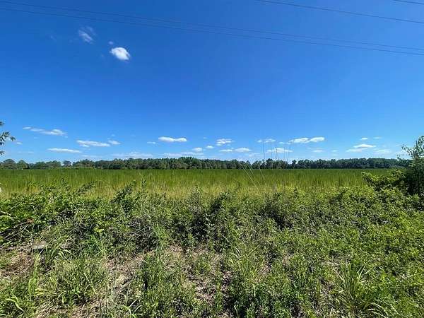 1 Acre of Land for Sale in Sumter, South Carolina