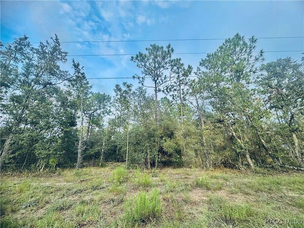1 Acre of Residential Land for Sale in Dunnellon, Florida