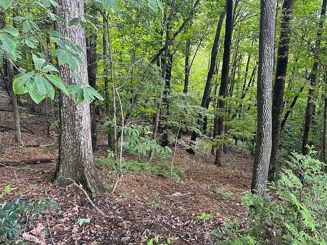 0.91 Acres of Residential Land for Sale in Sapphire, North Carolina