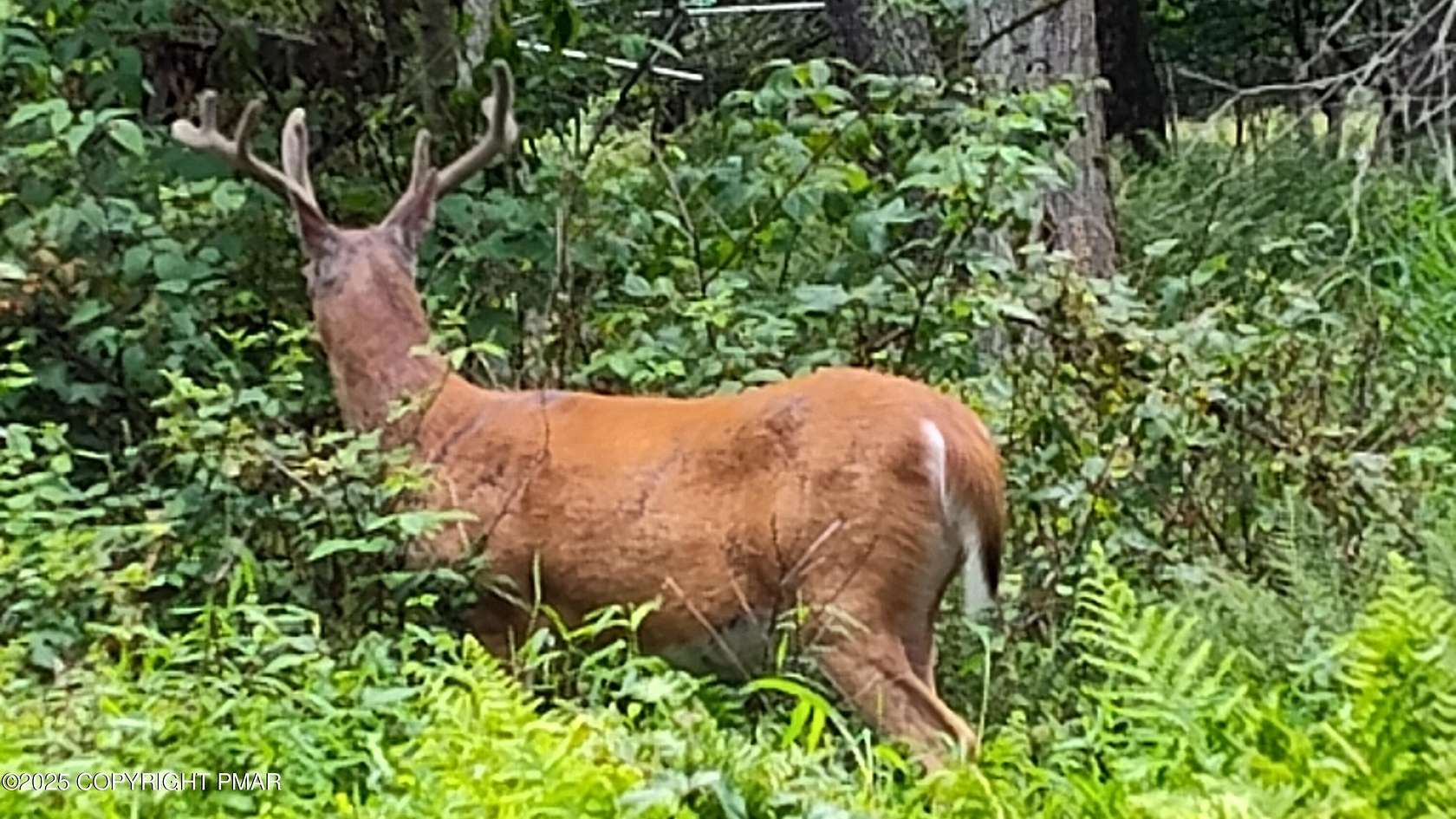 0.3 Acres of Residential Land for Sale in East Stroudsburg, Pennsylvania