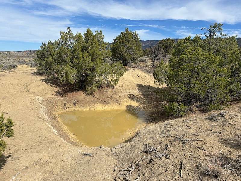 17.6 Acres of Recreational Land for Sale in Cuba, New Mexico