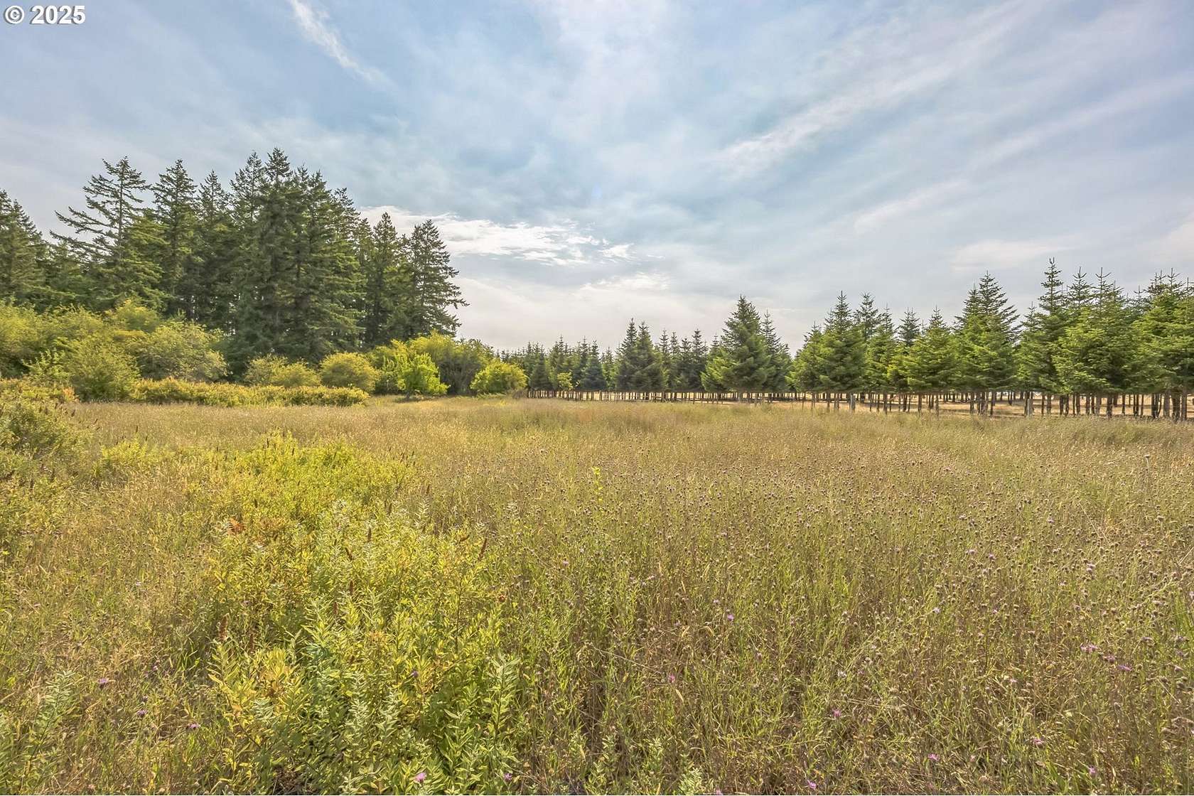 4.63 Acres of Residential Land for Sale in Winlock, Washington