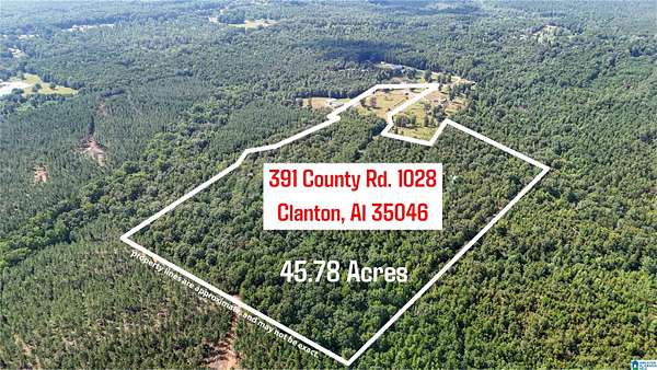45.8 Acres of Land for Sale in Clanton, Alabama