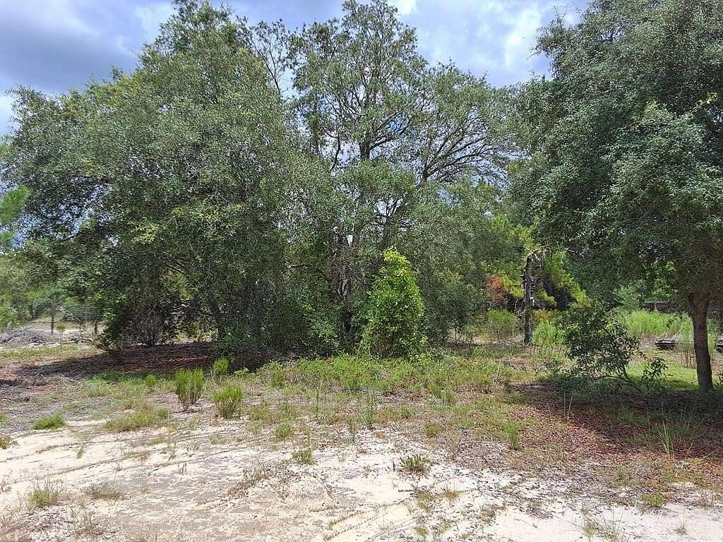 1 Acre of Land for Sale in Dunnellon, Florida