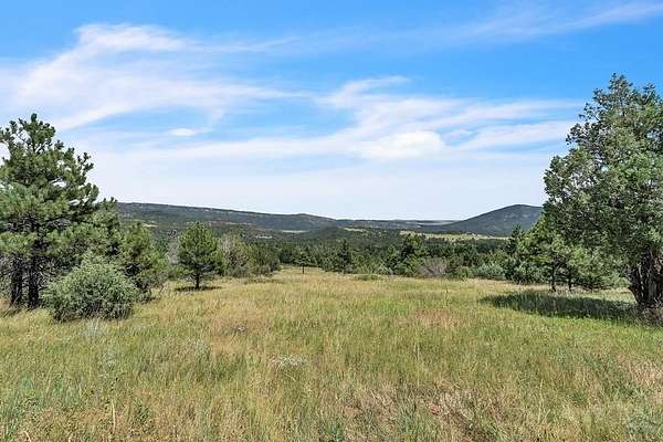 35 Acres of Recreational Land for Sale in Beulah, Colorado