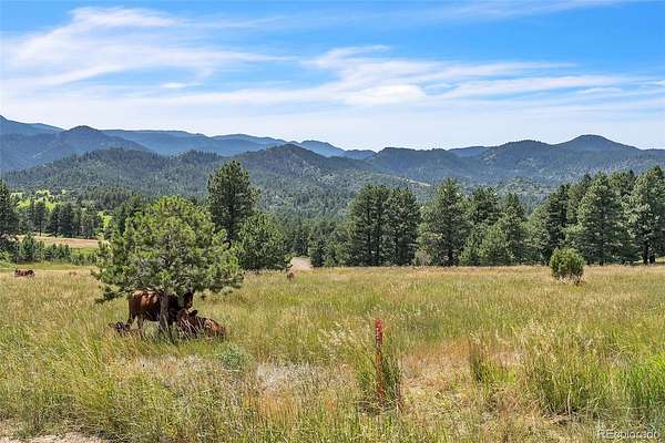 35 Acres of Recreational & Residential Land for Sale in Beulah, Colorado