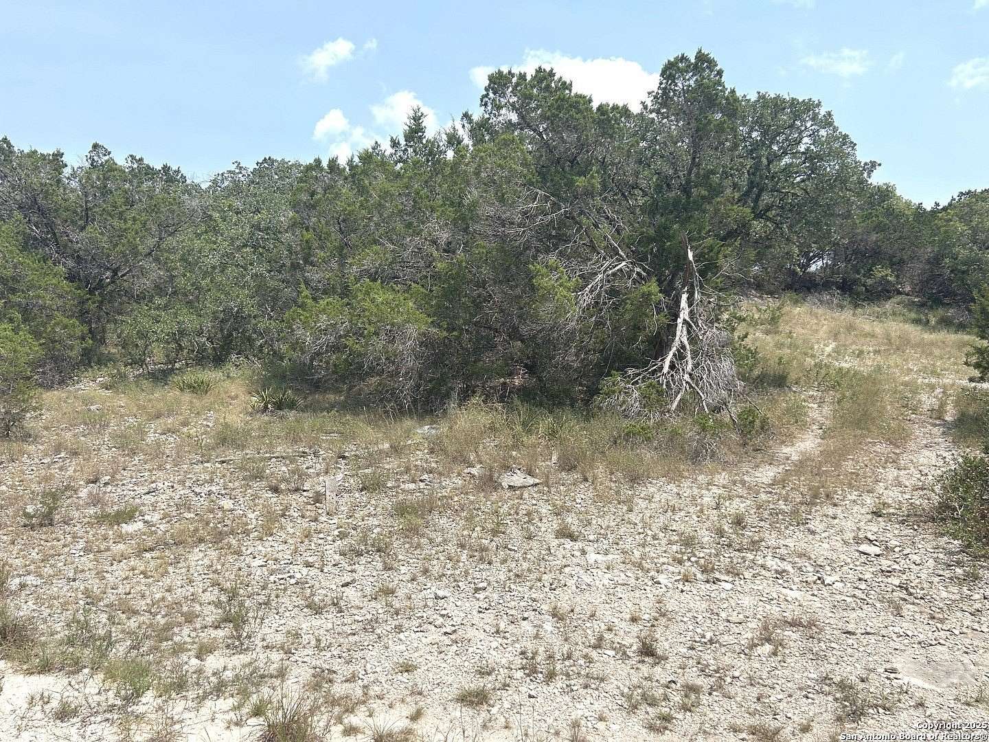 0.28 Acres of Residential Land for Sale in Spring Branch, Texas