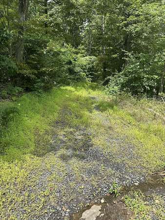 5.15 Acres of Residential Land for Sale in Middlefield, Connecticut