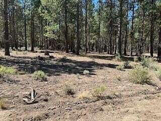 2.32 Acres of Residential Land for Sale in Sprague River, Oregon
