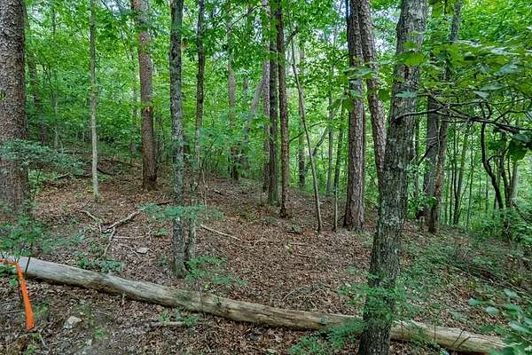 1.5 Acres of Residential Land for Sale in Talking Rock, Georgia