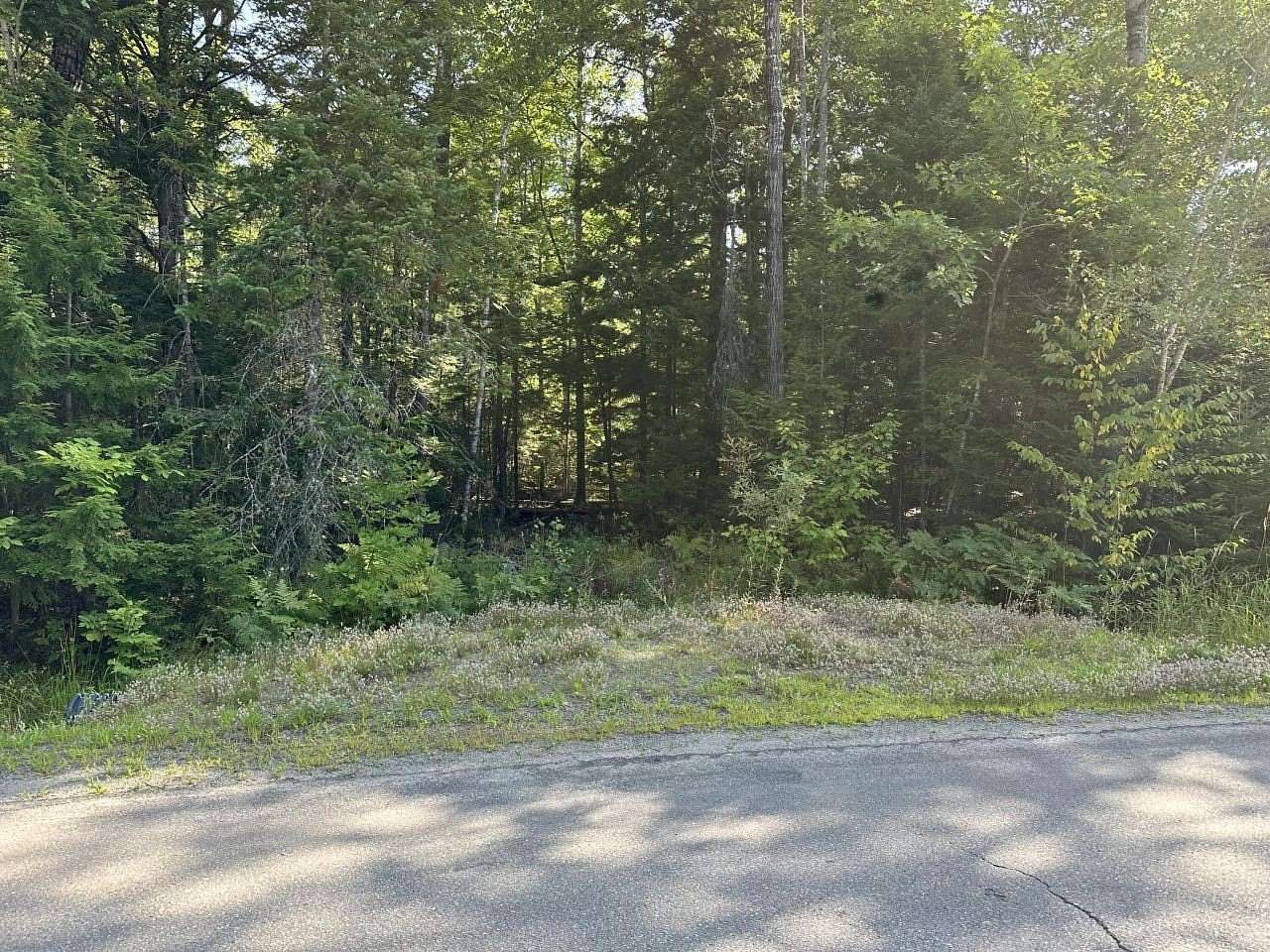 9.6 Acres of Residential Land for Sale in Old Town, Maine