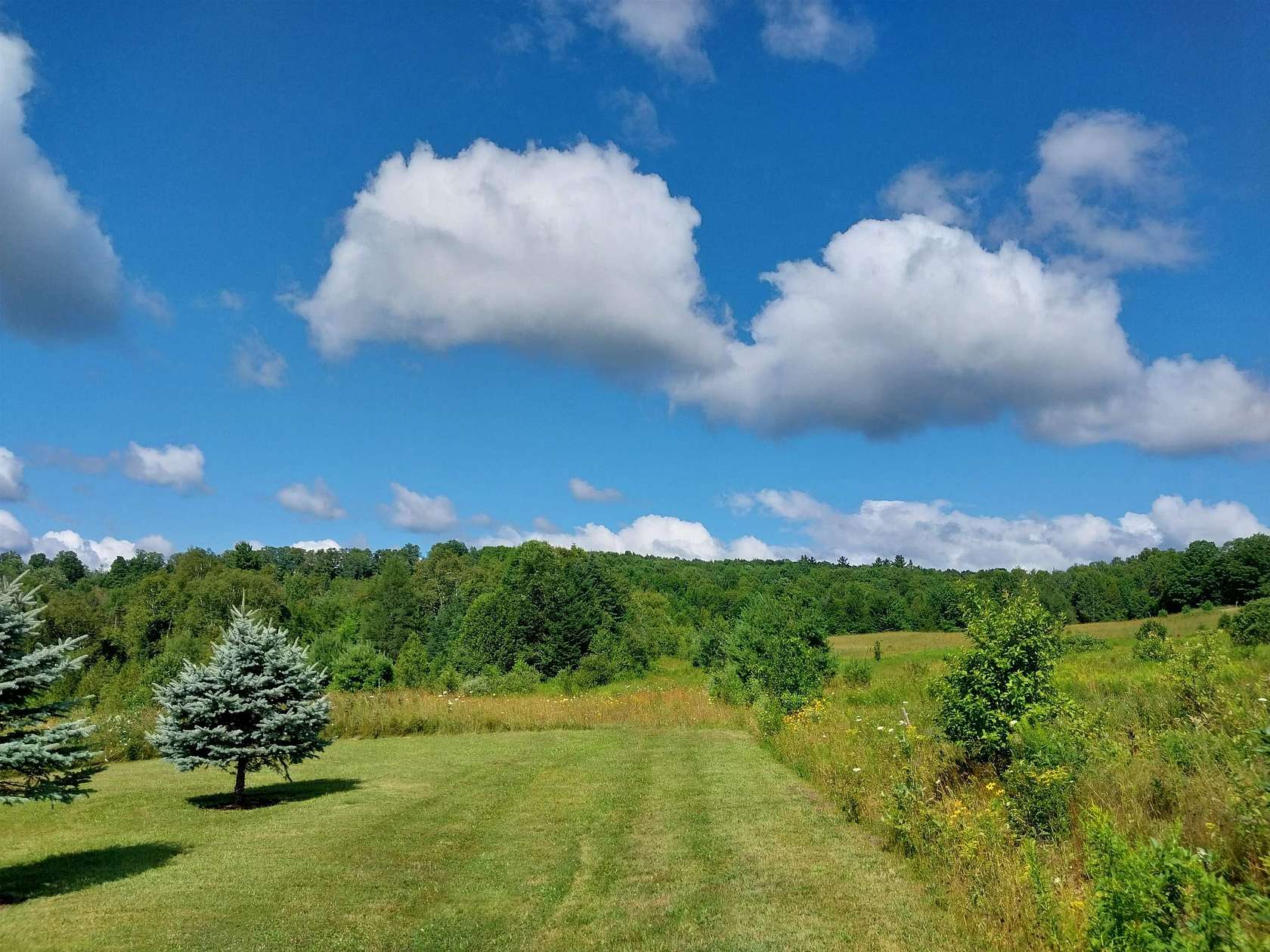 121 Acres of Recreational & Residential Land for Sale in Danville, Vermont