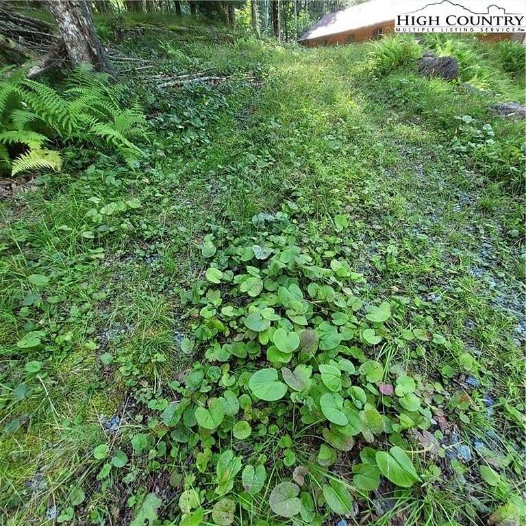 0.35 Acres of Residential Land for Sale in Beech Mountain, North Carolina