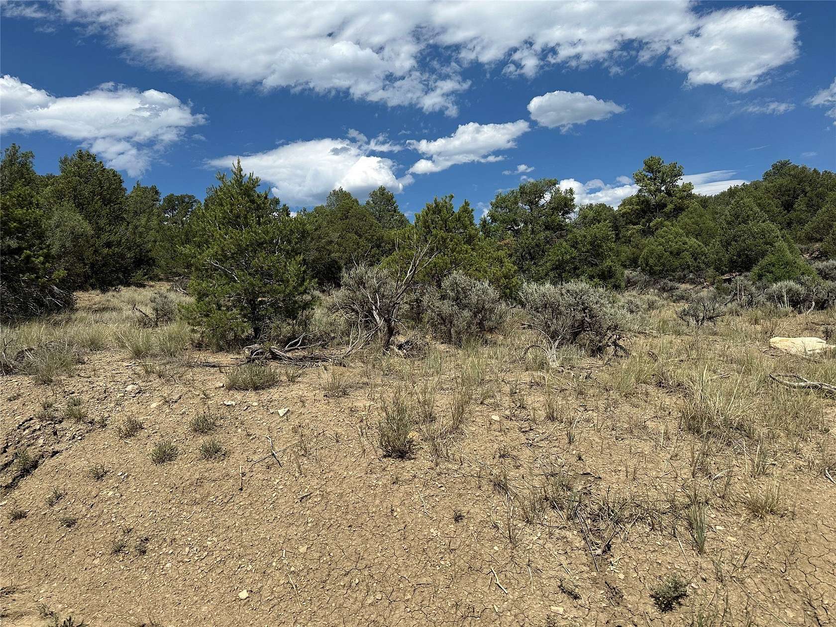 7.8 Acres of Residential Land for Sale in Tierra Amarilla, New Mexico