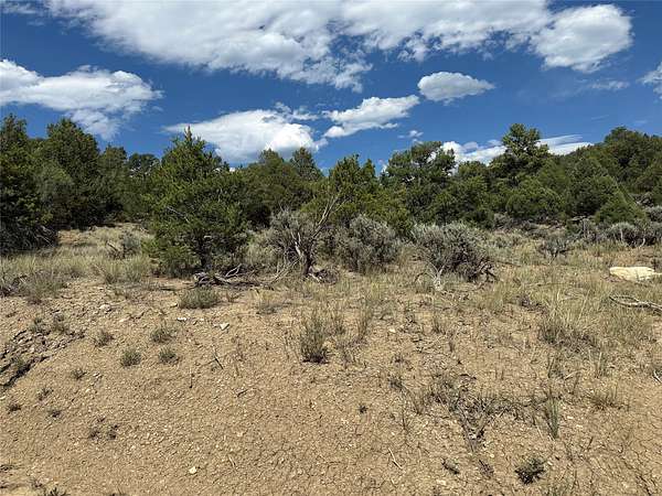 7.8 Acres of Residential Land for Sale in Tierra Amarilla, New Mexico