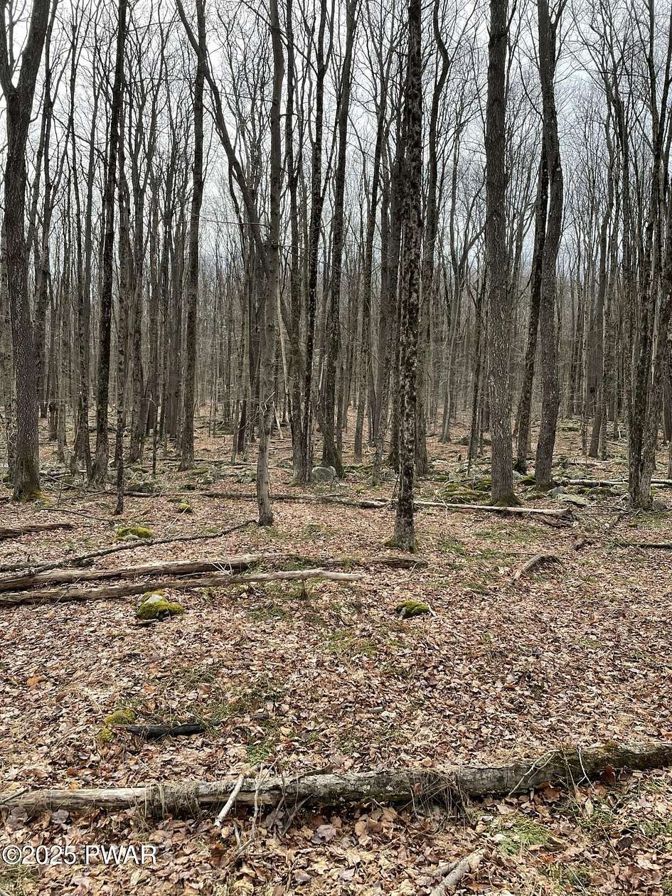 3 Acres of Residential Land for Sale in Newfoundland, Pennsylvania