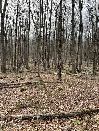 3 Acres of Residential Land for Sale in Newfoundland, Pennsylvania